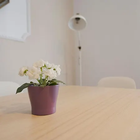 Ideal Y Acogedor Bengoetxea En Pleno Centro De Donostia - * San Sebastián