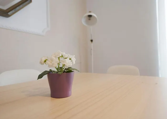 Ideal Y Acogedor Bengoetxea En Pleno Centro De Donostia - * サン・セバスティアン